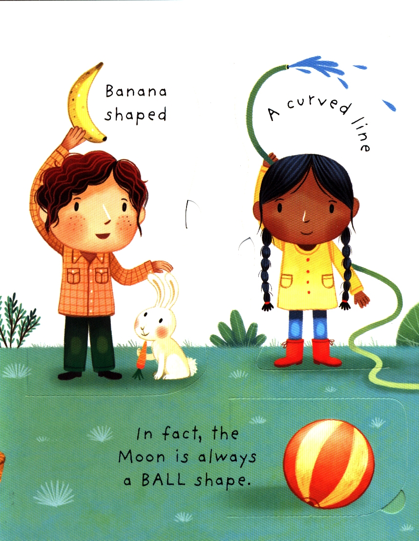 what is the moon? (very first lift-the-flap questions & answers) - Ảnh 5