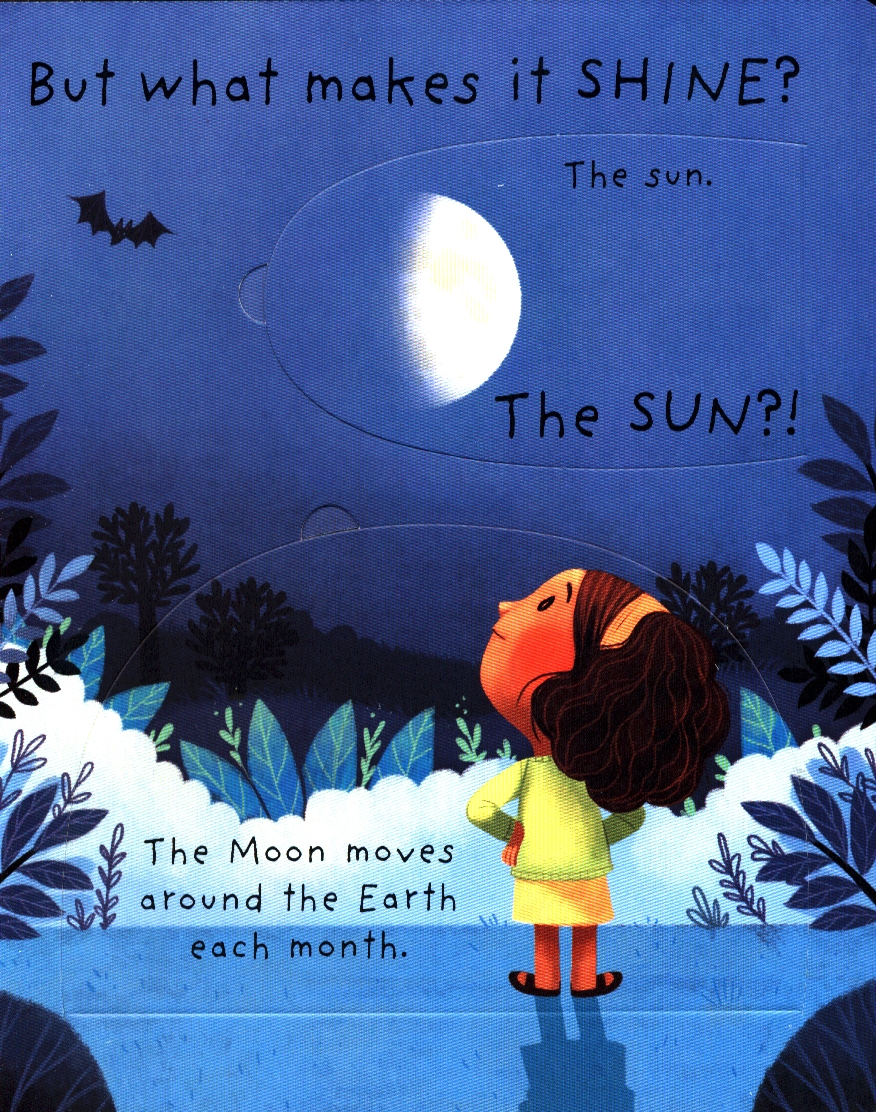 what is the moon? (very first lift-the-flap questions & answers) - Ảnh 7