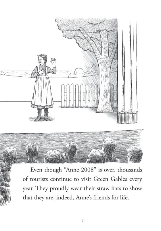 what is the story of anne of green gables? - Ảnh 11