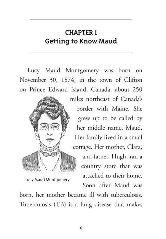 what is the story of anne of green gables? - Ảnh 12