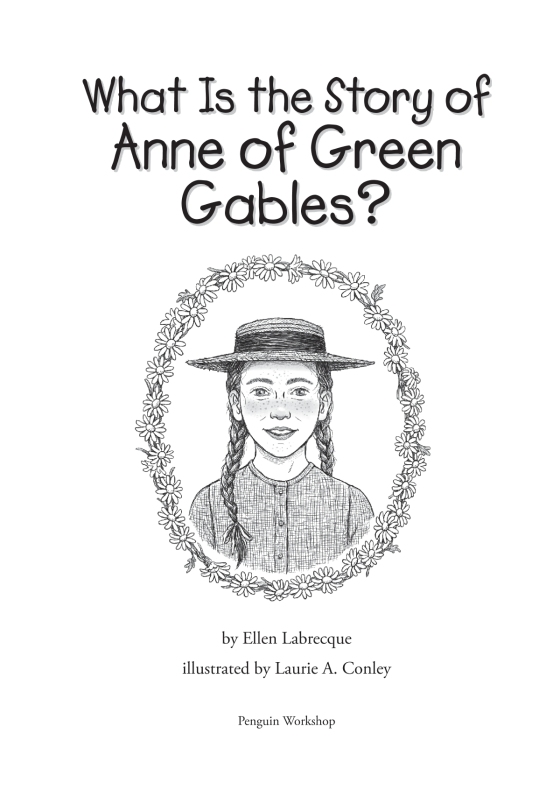 what is the story of anne of green gables? - Ảnh 3