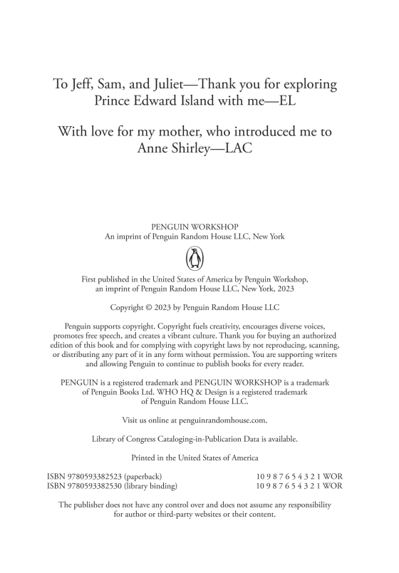 what is the story of anne of green gables? - Ảnh 4