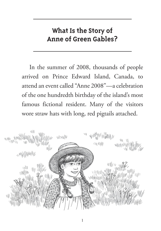 what is the story of anne of green gables? - Ảnh 7