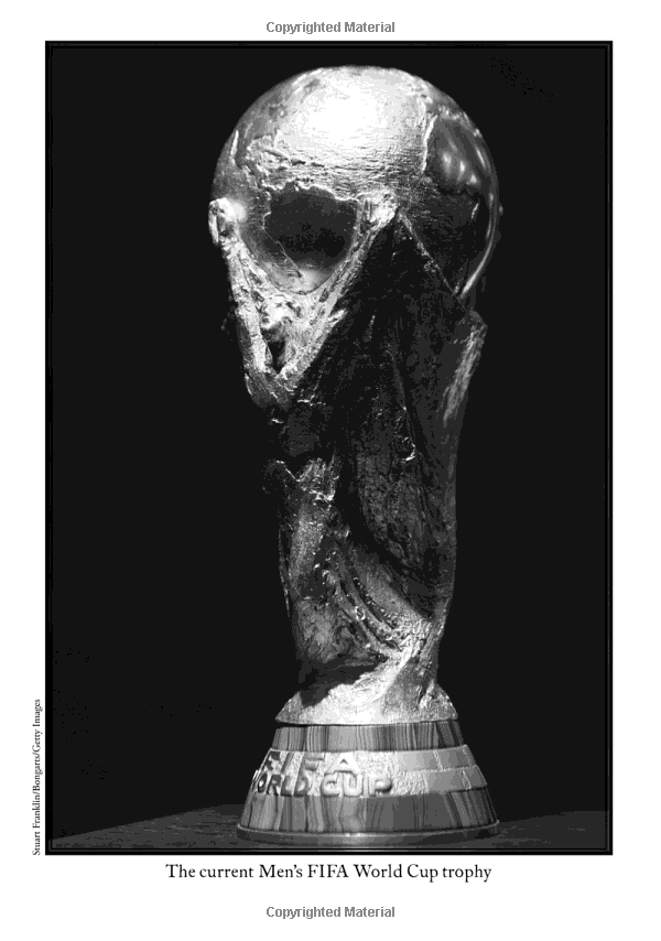 what is the world cup? - Ảnh 17