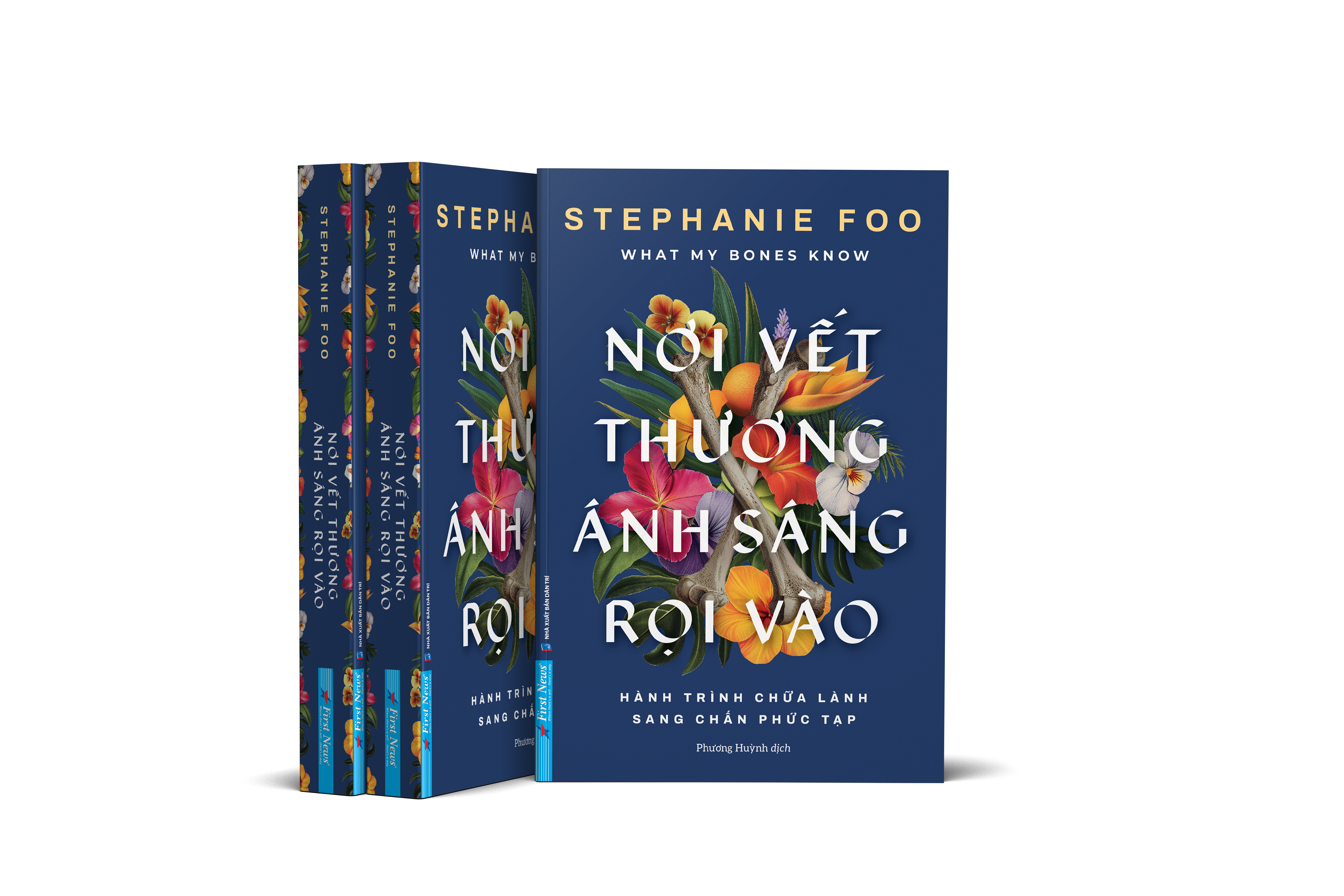 What My Bones Know - Nơi Vết Thương Ánh Sáng Rọi Vào - Hành Trình Chữa Lành Sang Chấn Phức Tạp - Ảnh 3