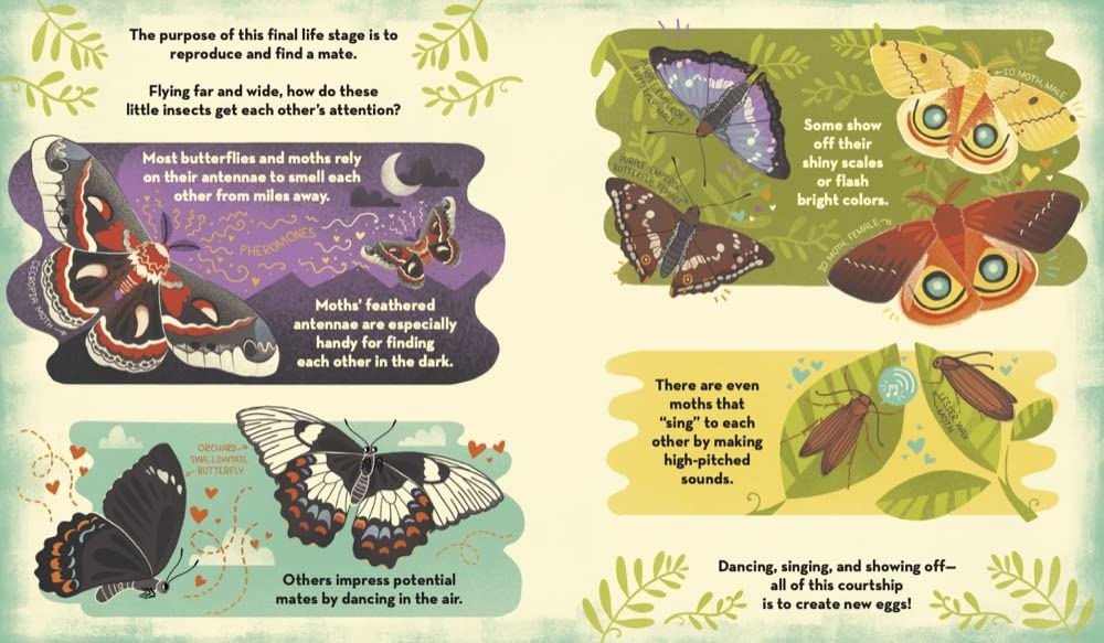 what's inside a caterpillar cocoon? - Ảnh 5