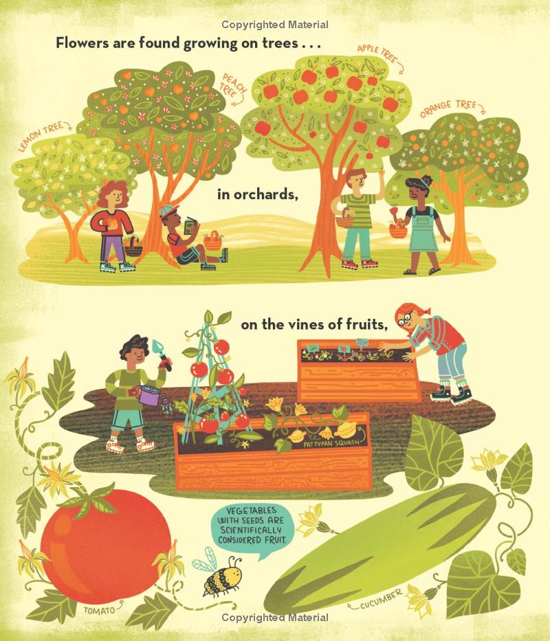 what's inside a flower? - Ảnh 10