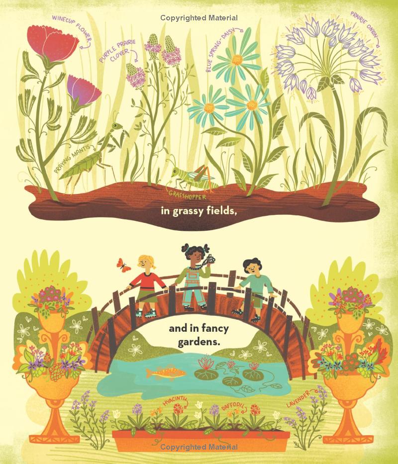 what's inside a flower? - Ảnh 11