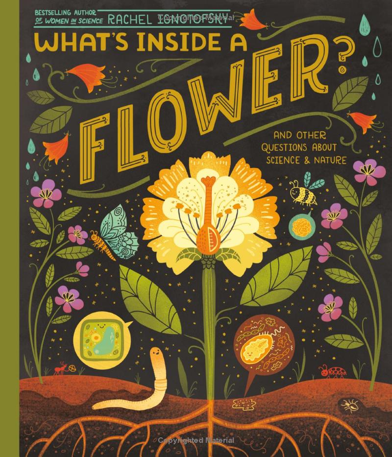 what's inside a flower? - Ảnh 2