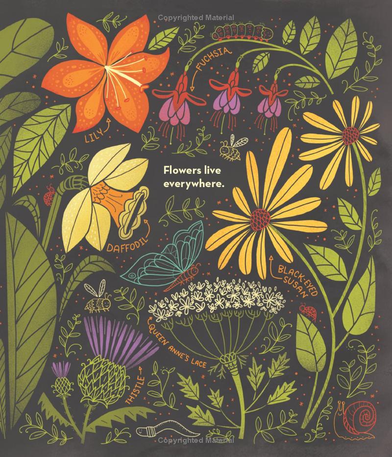 what's inside a flower? - Ảnh 7