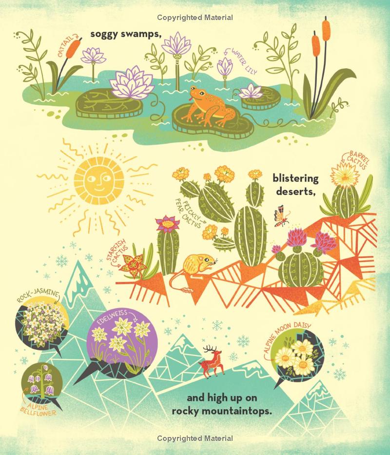 what's inside a flower? - Ảnh 9