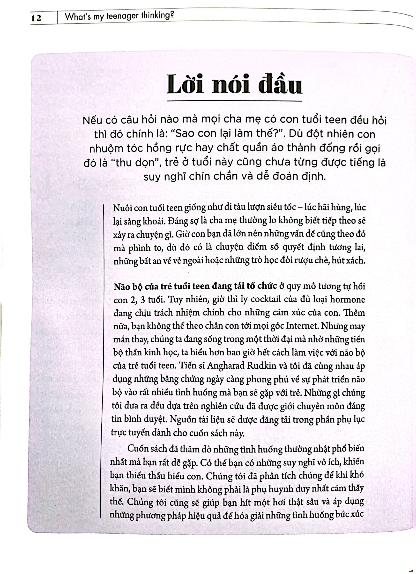 what's my teenager thinking? - tâm lý học trẻ em thực hành cho cha mẹ hiện đại - tuổi từ 13 đến 18 - Ảnh 3