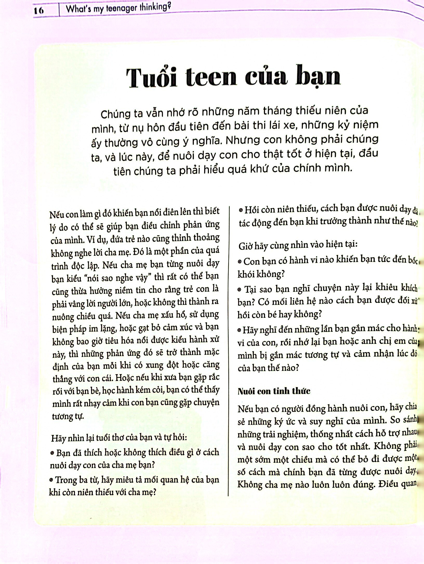 what's my teenager thinking? - tâm lý học trẻ em thực hành cho cha mẹ hiện đại - tuổi từ 13 đến 18 - Ảnh 6
