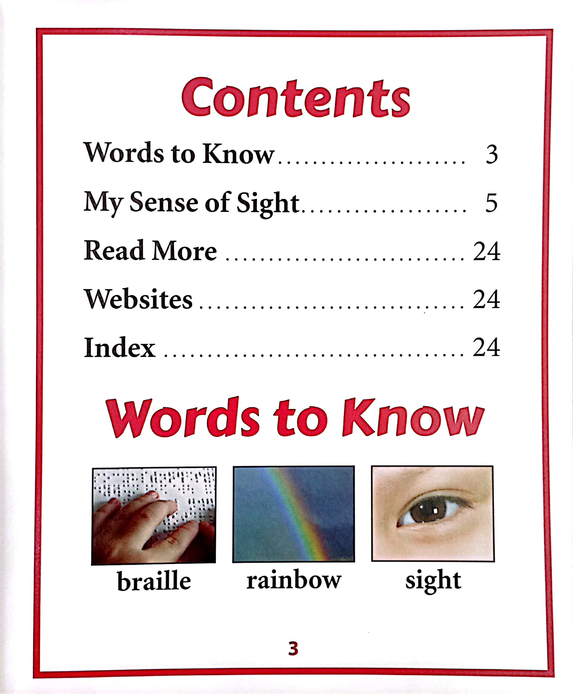 what's that i see? (all about my senses) - Ảnh 3