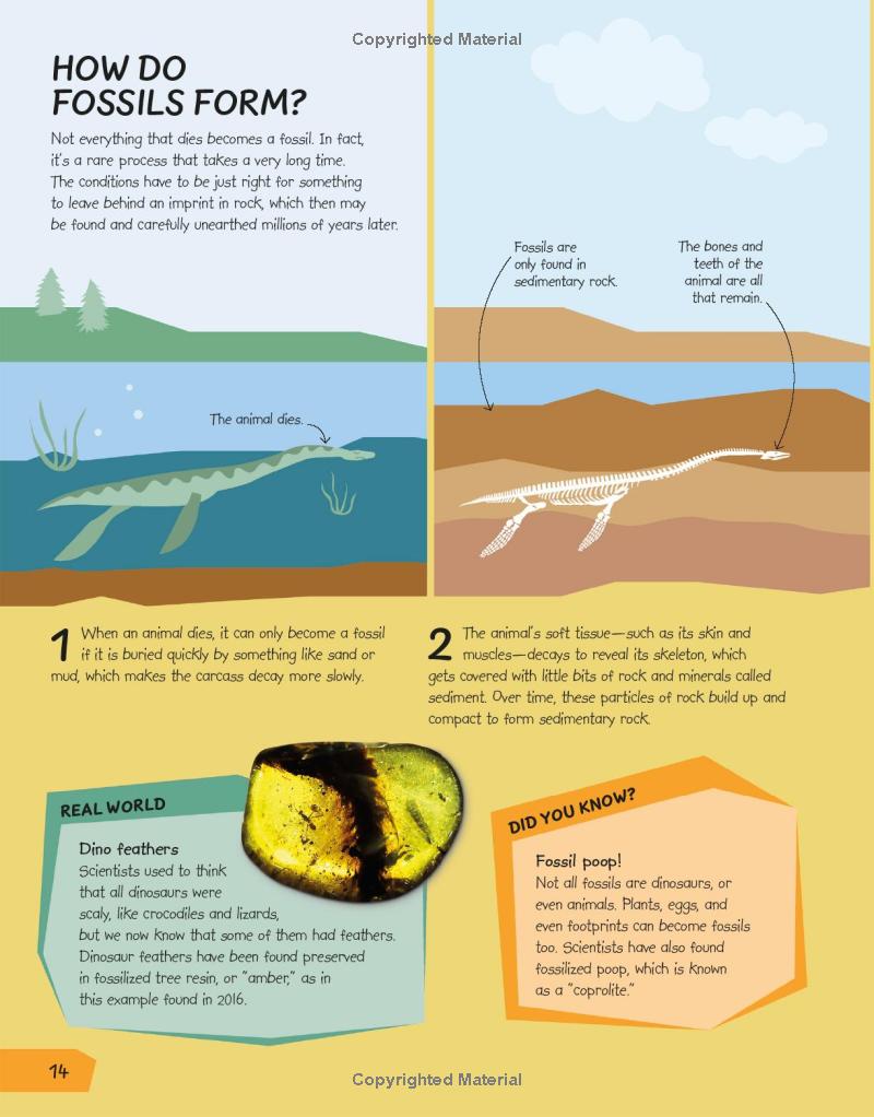 what's the point of science? - Ảnh 14