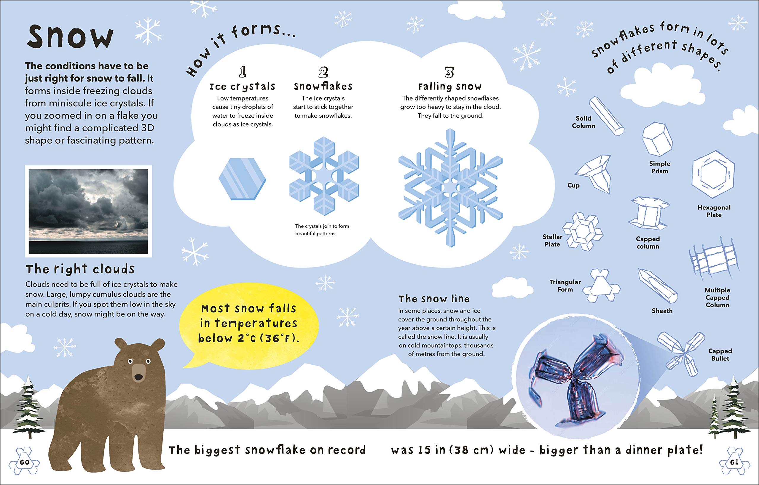 what's the weather?: clouds, climate, and global warming - Ảnh 4