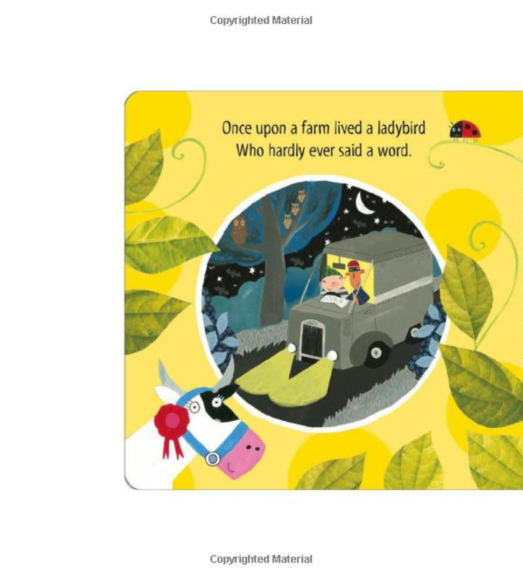 what the ladybird heard: a push, pull and slide book - Ảnh 3