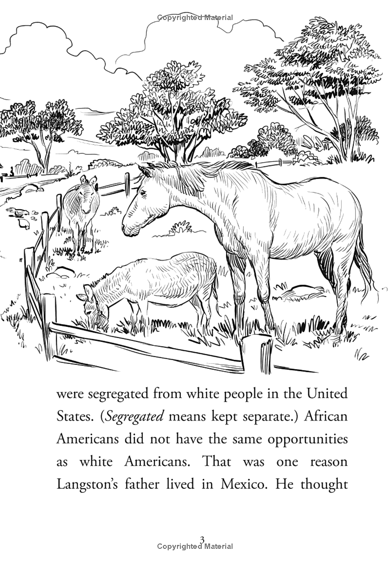 what was the harlem renaissance? - Ảnh 7