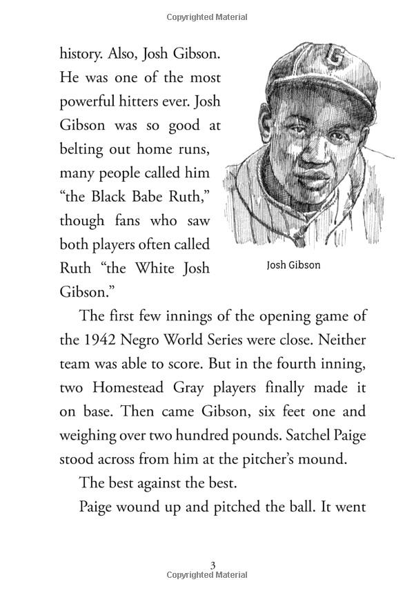 what were the negro leagues? (what was?) - Ảnh 6