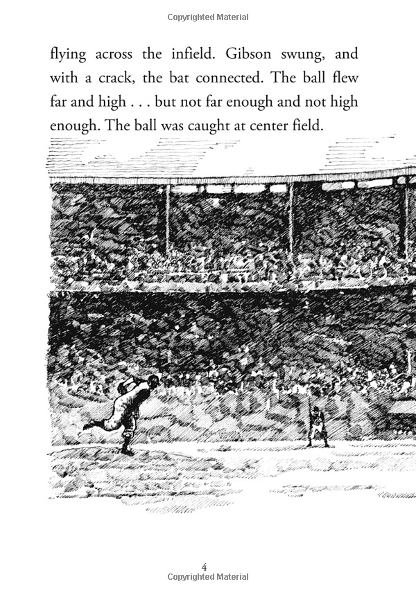 what were the negro leagues? (what was?) - Ảnh 7