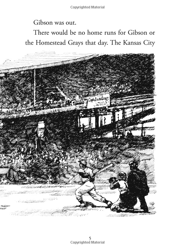 what were the negro leagues? (what was?) - Ảnh 8