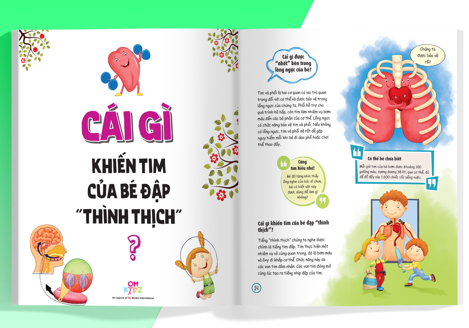 what why when how? - 10 vạn câu hỏi cho siêu nhí - what: cái gì? - Ảnh 5