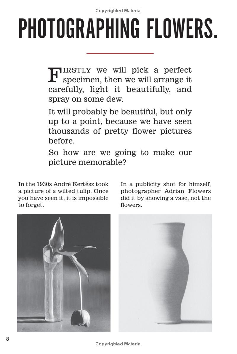 whatever you think think the opposite - Ảnh 7