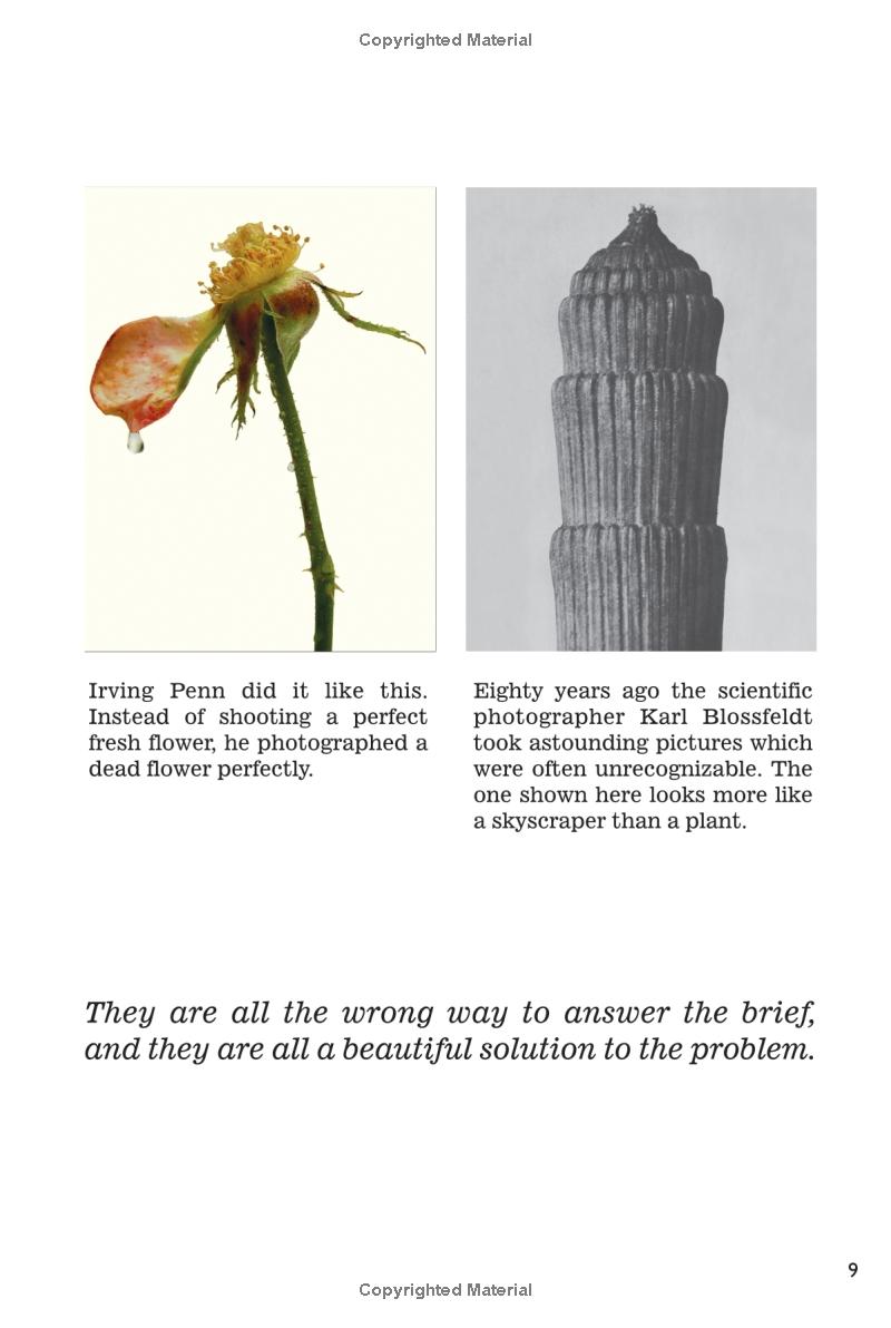 whatever you think think the opposite - Ảnh 8