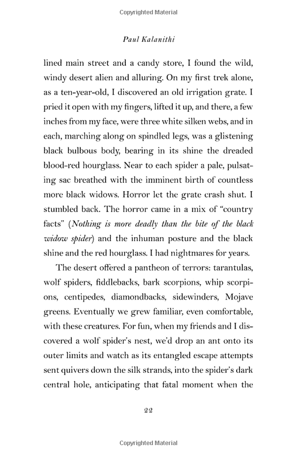 when breath becomes air - Ảnh 8