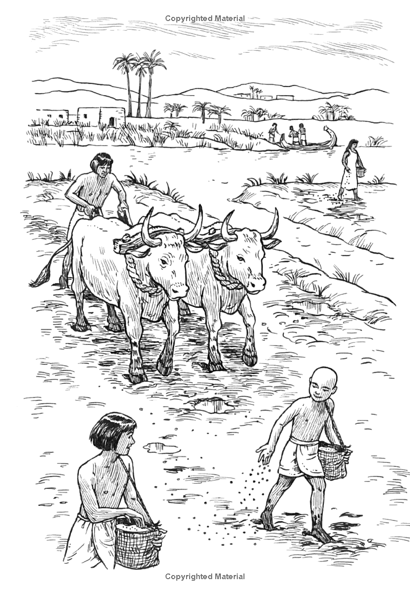 where are the constellations? - Ảnh 5