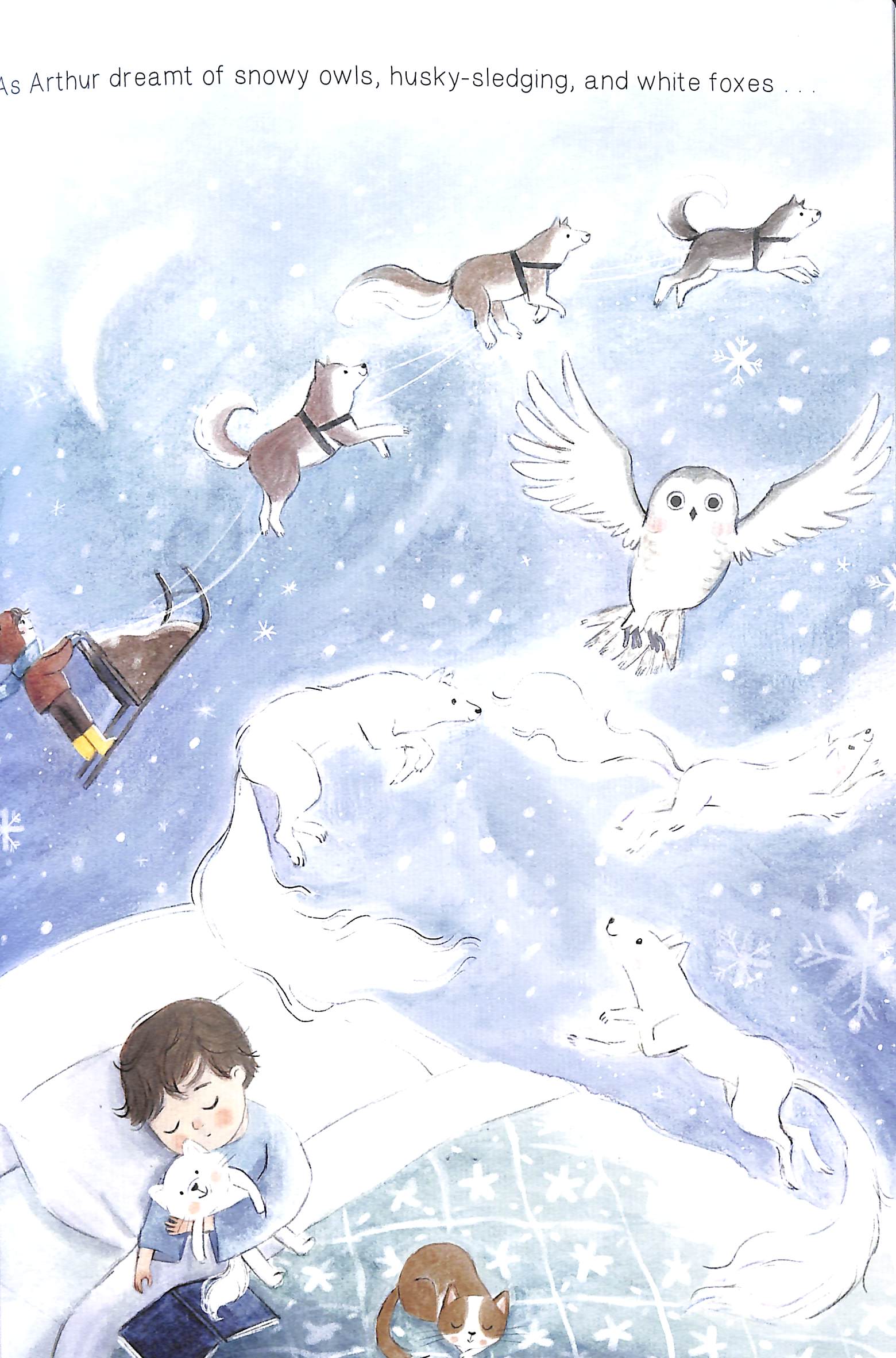 where björn belongs - Ảnh 6