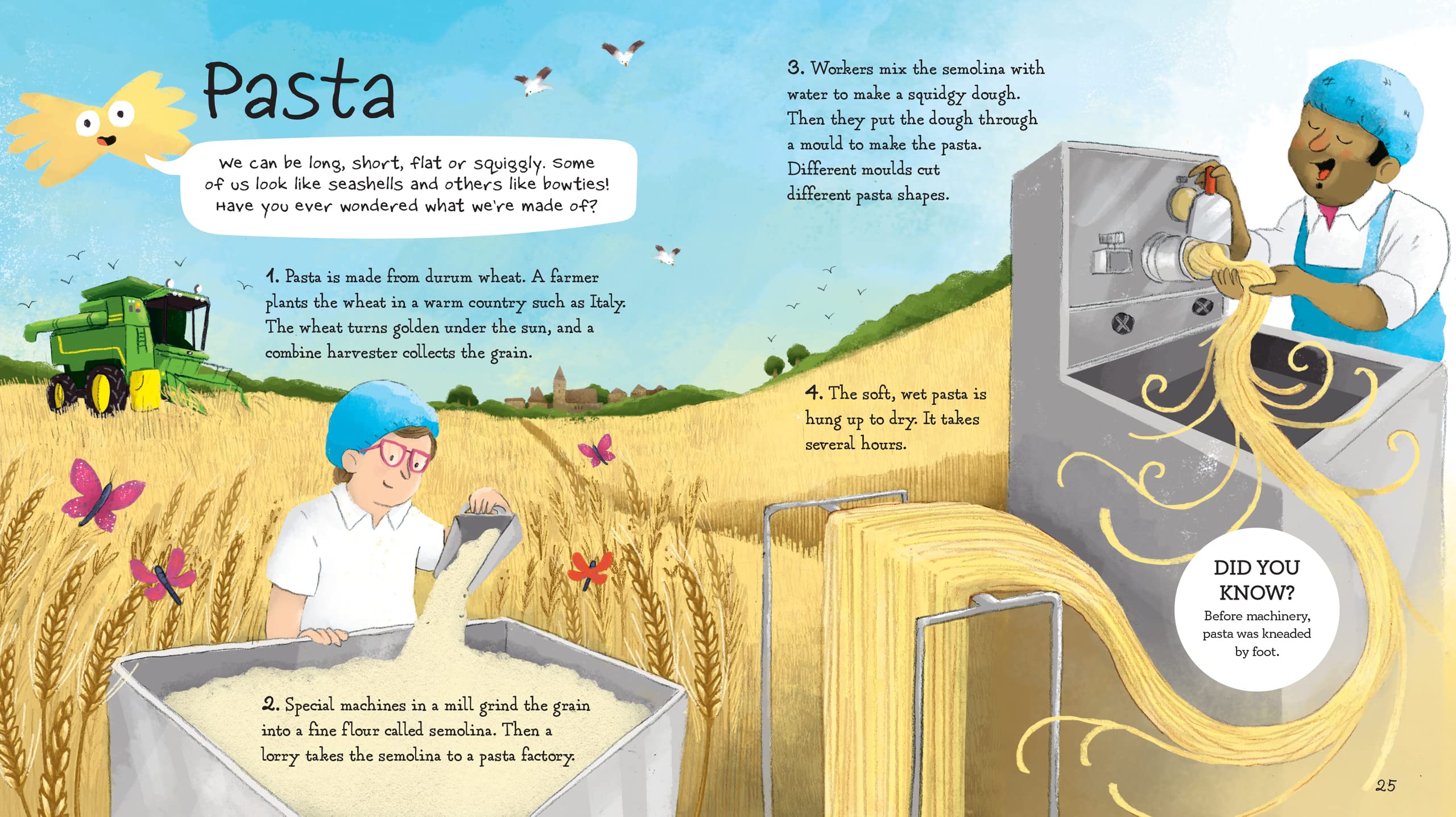 where does my food come from?: the story of how your favourite food is made - Ảnh 5