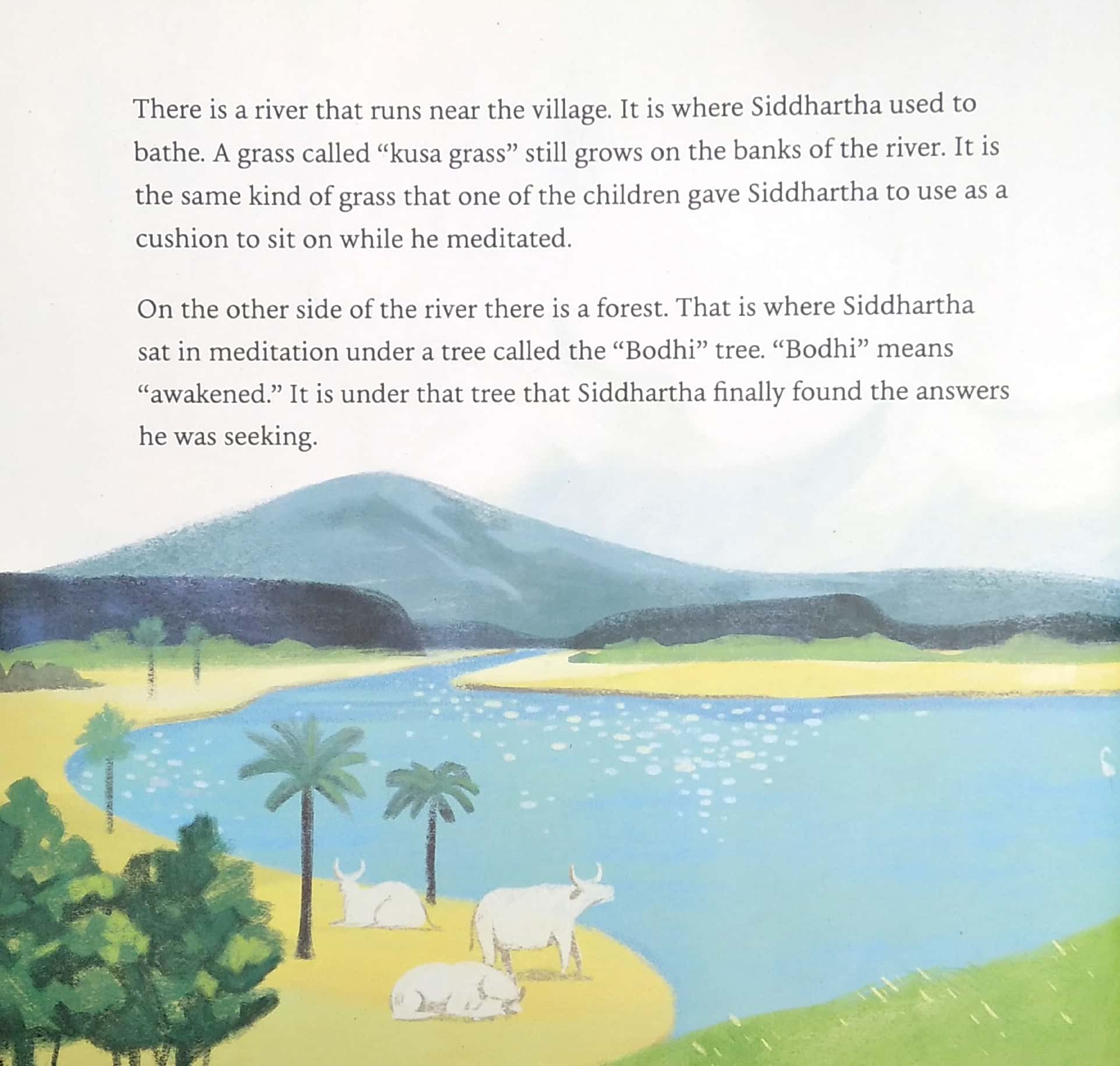 where is the buddha? - Ảnh 5