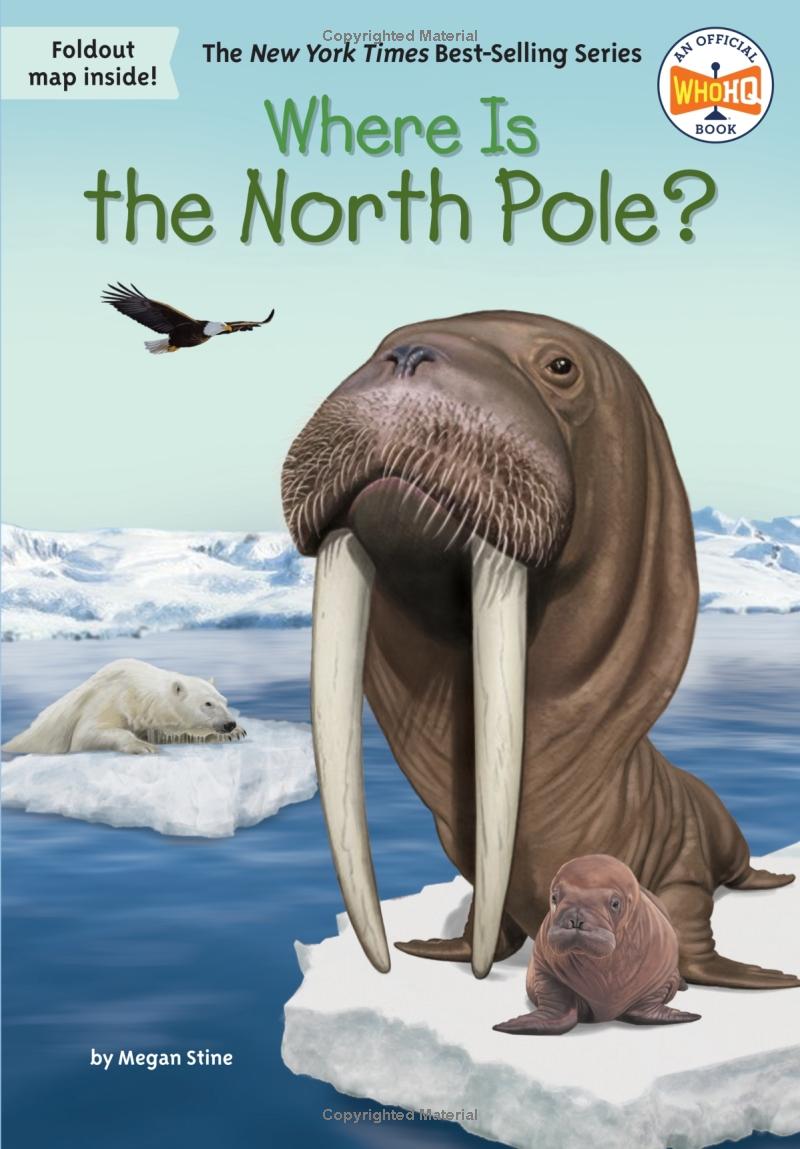 where is the north pole? - Ảnh 2
