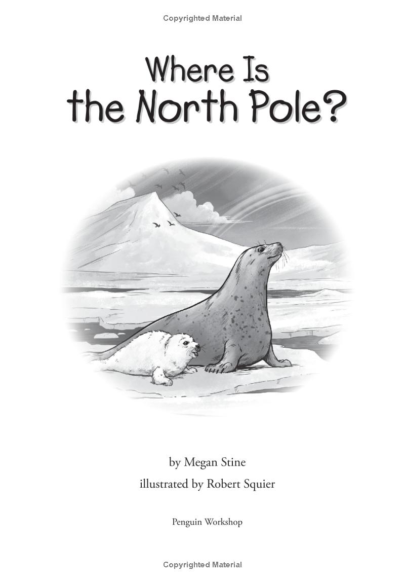 where is the north pole? - Ảnh 3