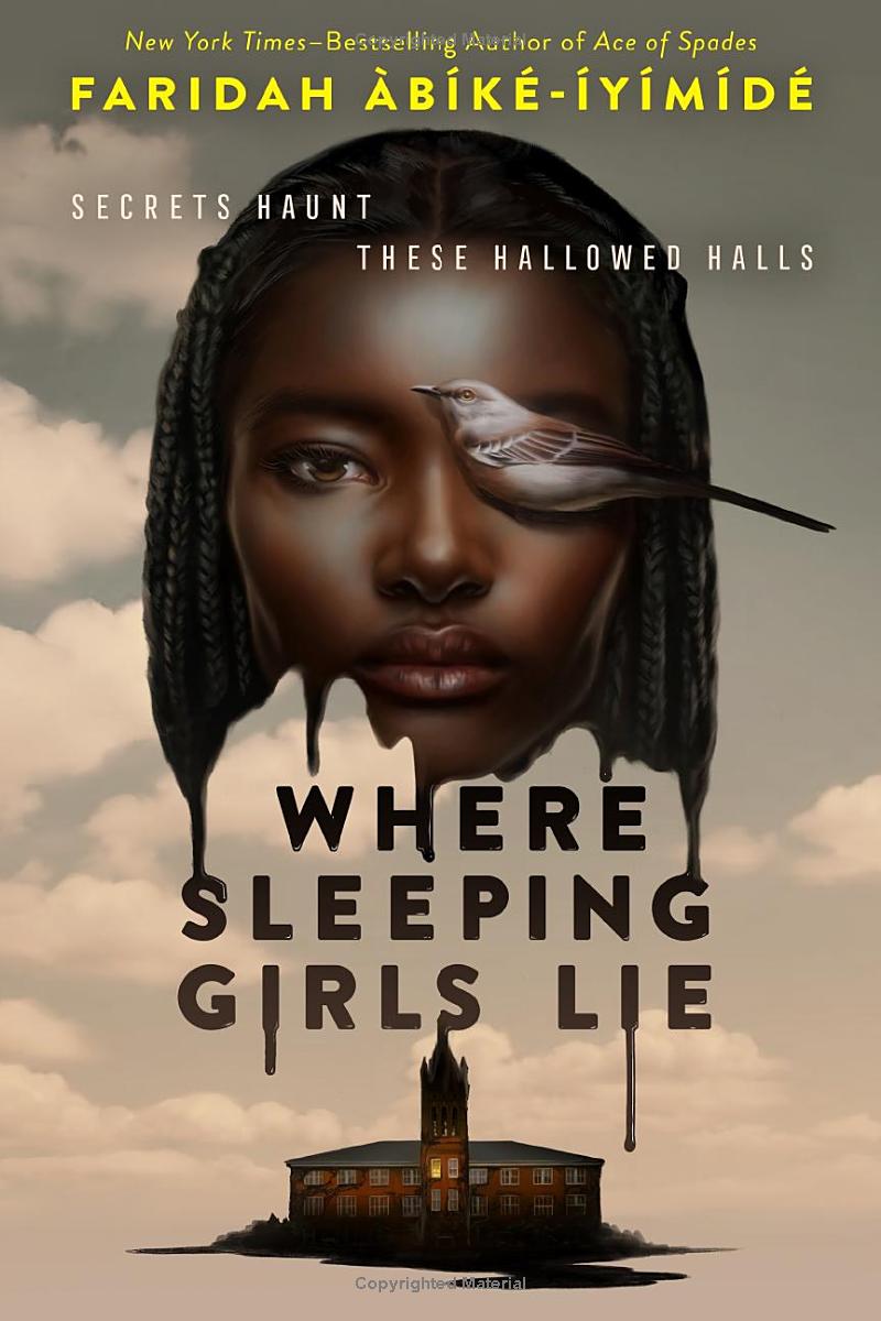 where sleeping girls lie (international edition) - Ảnh 2