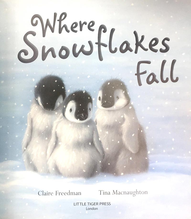where snowflakes fall - Ảnh 4