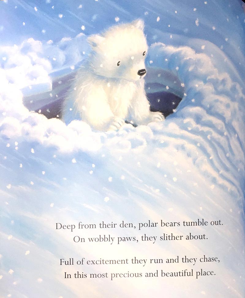 where snowflakes fall - Ảnh 9