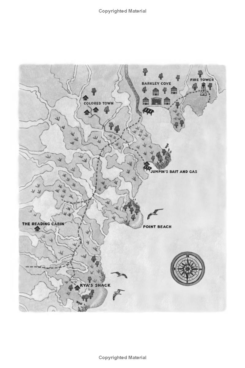 where the crawdads sing (movie tie-in) - Ảnh 4