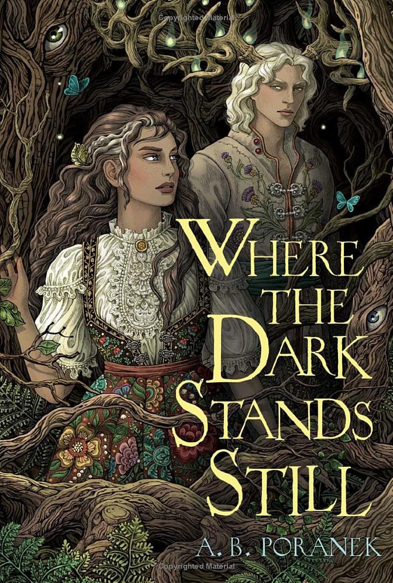 where the dark stands still - Ảnh 2