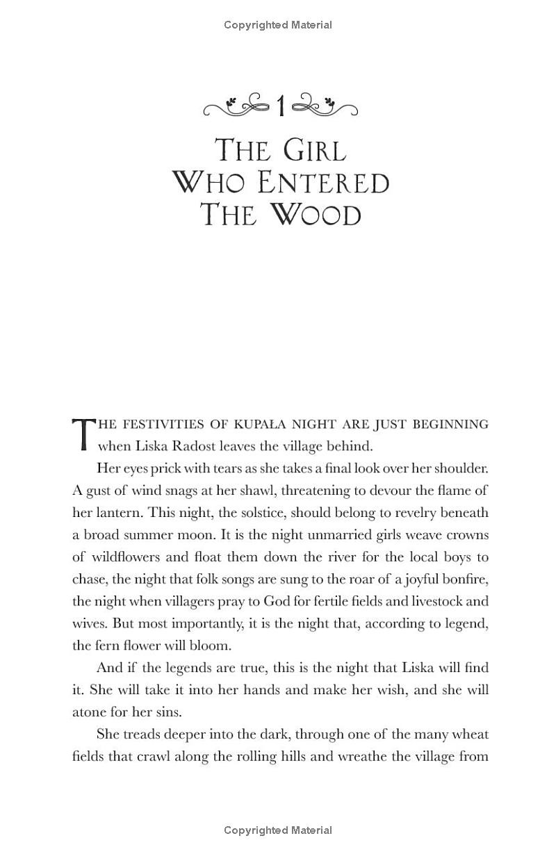 where the dark stands still - Ảnh 3