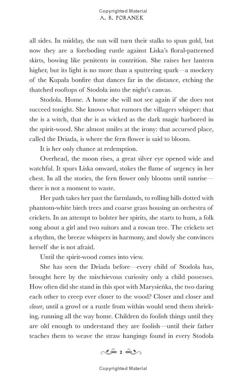 where the dark stands still - Ảnh 4