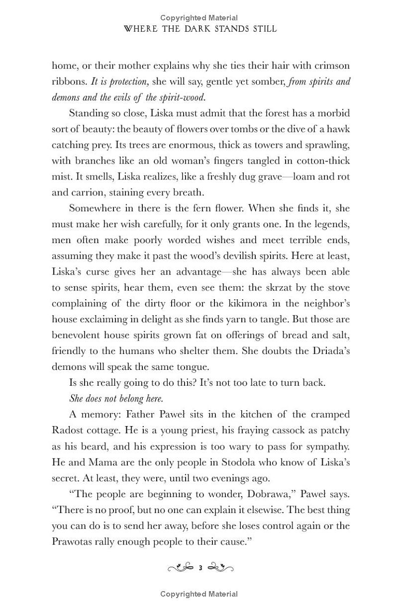 where the dark stands still - Ảnh 5