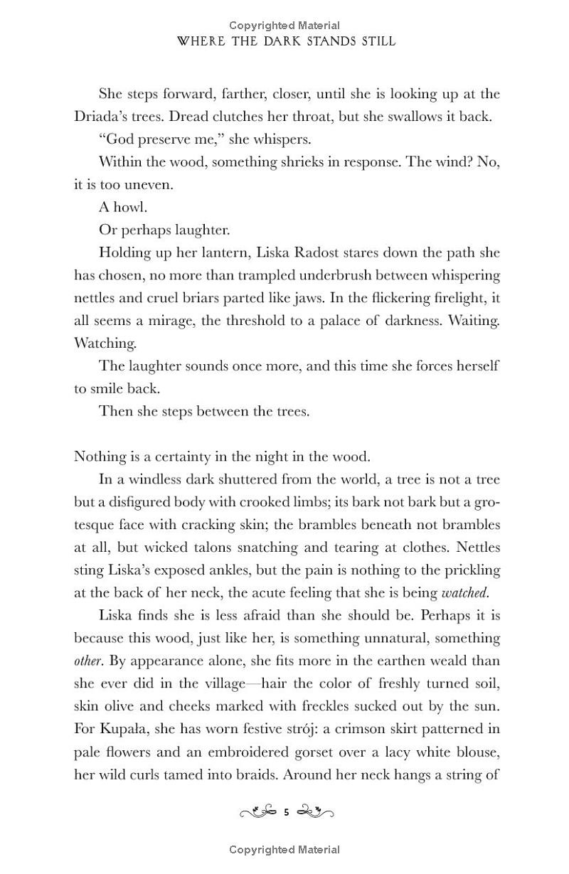 where the dark stands still - Ảnh 7