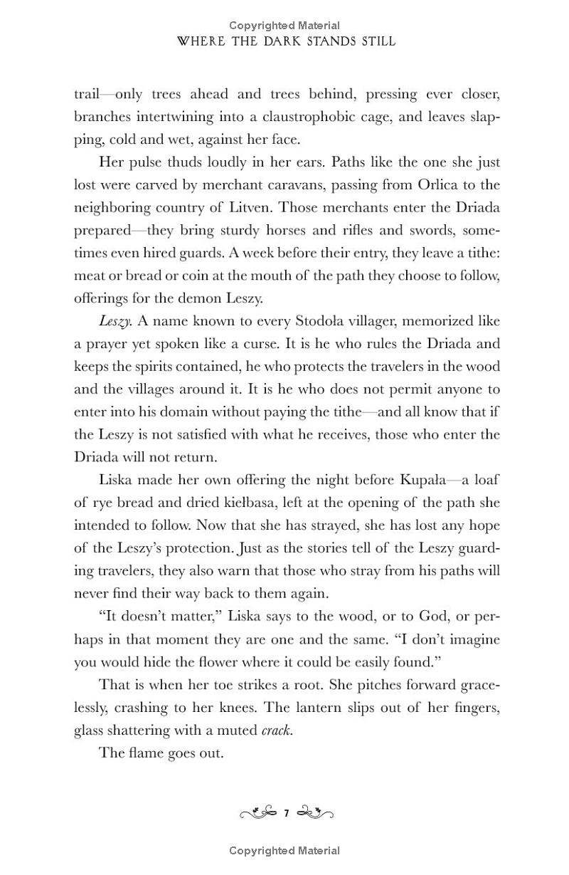 where the dark stands still - Ảnh 9