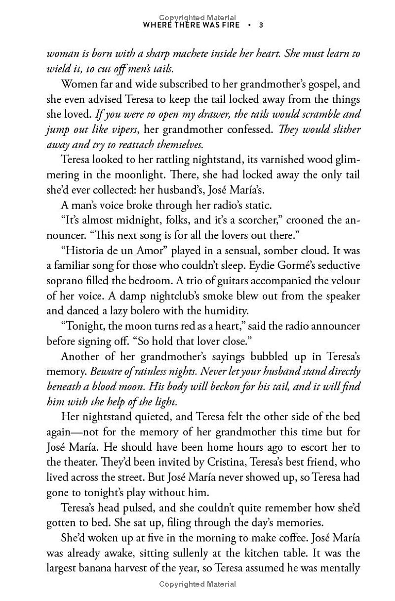 where there was fire - Ảnh 6