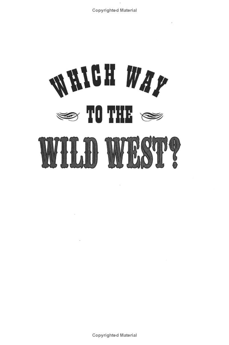 which way to the wild west? - Ảnh 2