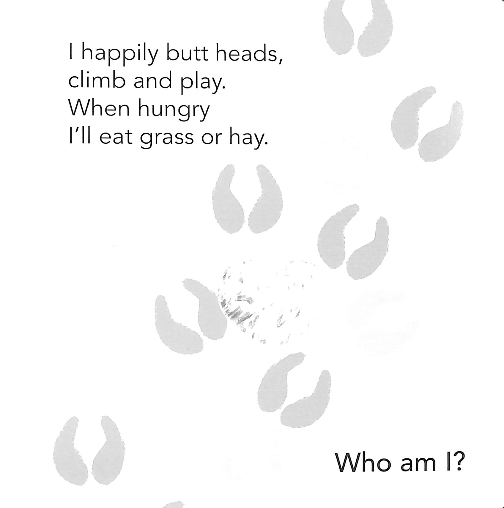 who am i? touch & feel flap book: farm animals - Ảnh 3