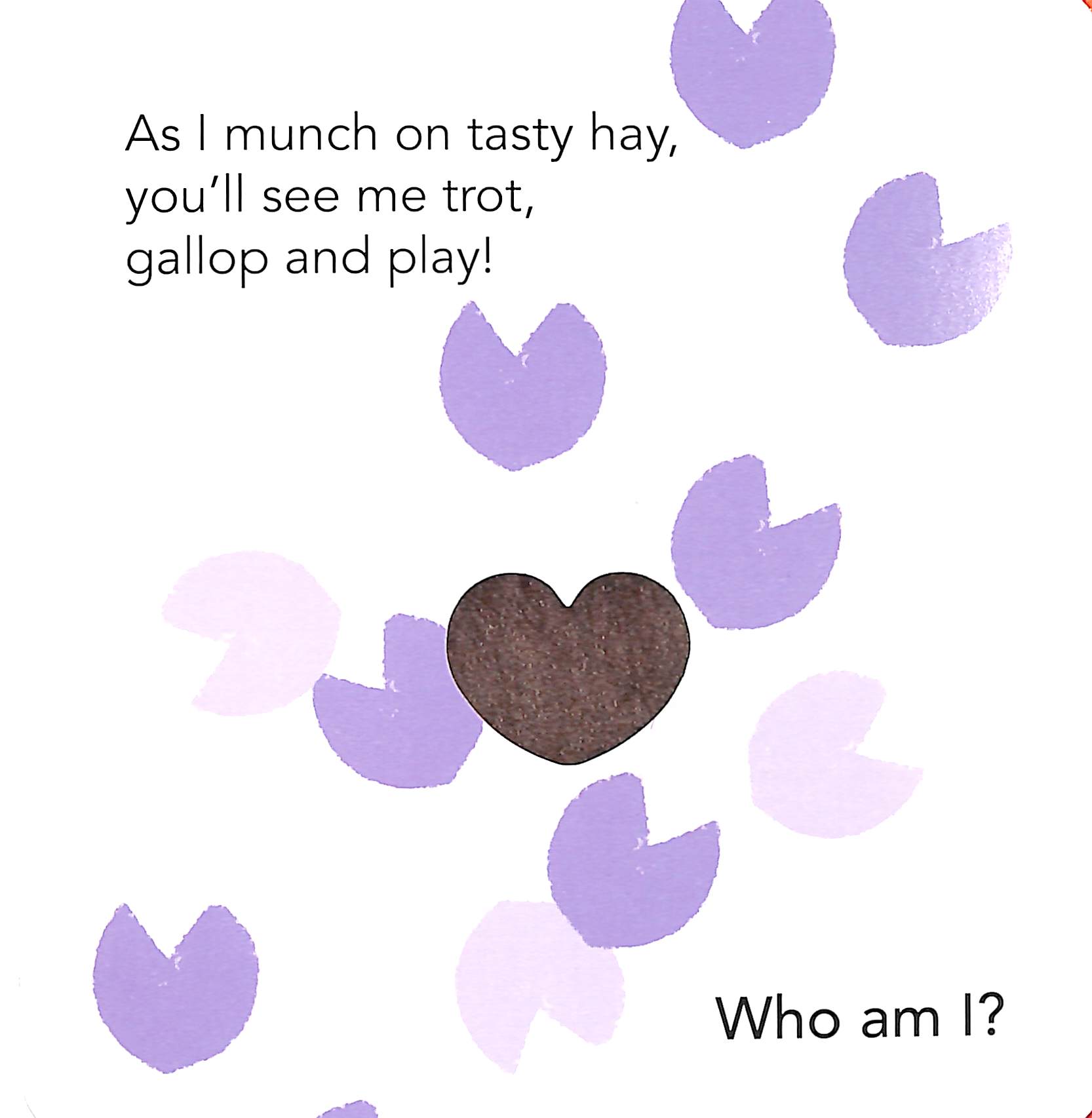 who am i? touch & feel flap book: farm animals - Ảnh 7