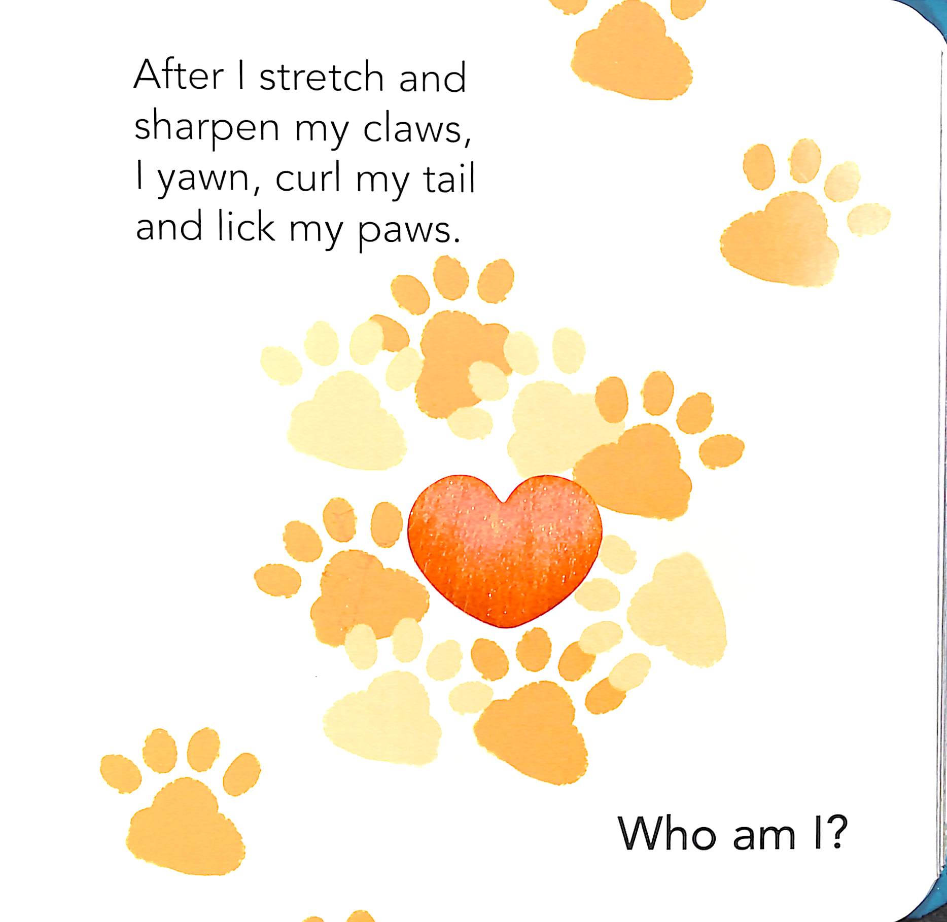 who am i? touch & feel flap book: pets - Ảnh 4